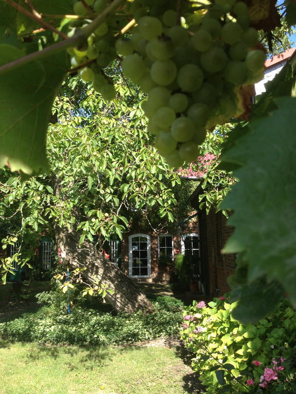 Pension Kunsthof Dahrenstedt Buitenkant foto